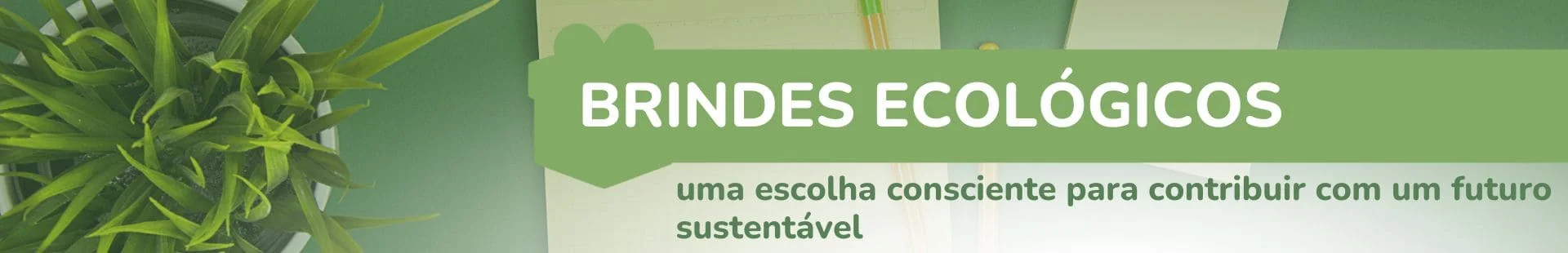 Sacolas Reutilizáveis