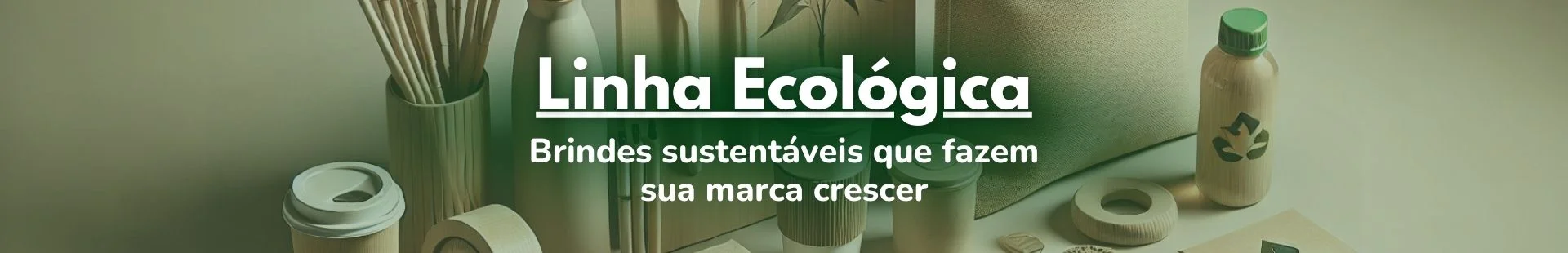 Sacolas Reutilizáveis