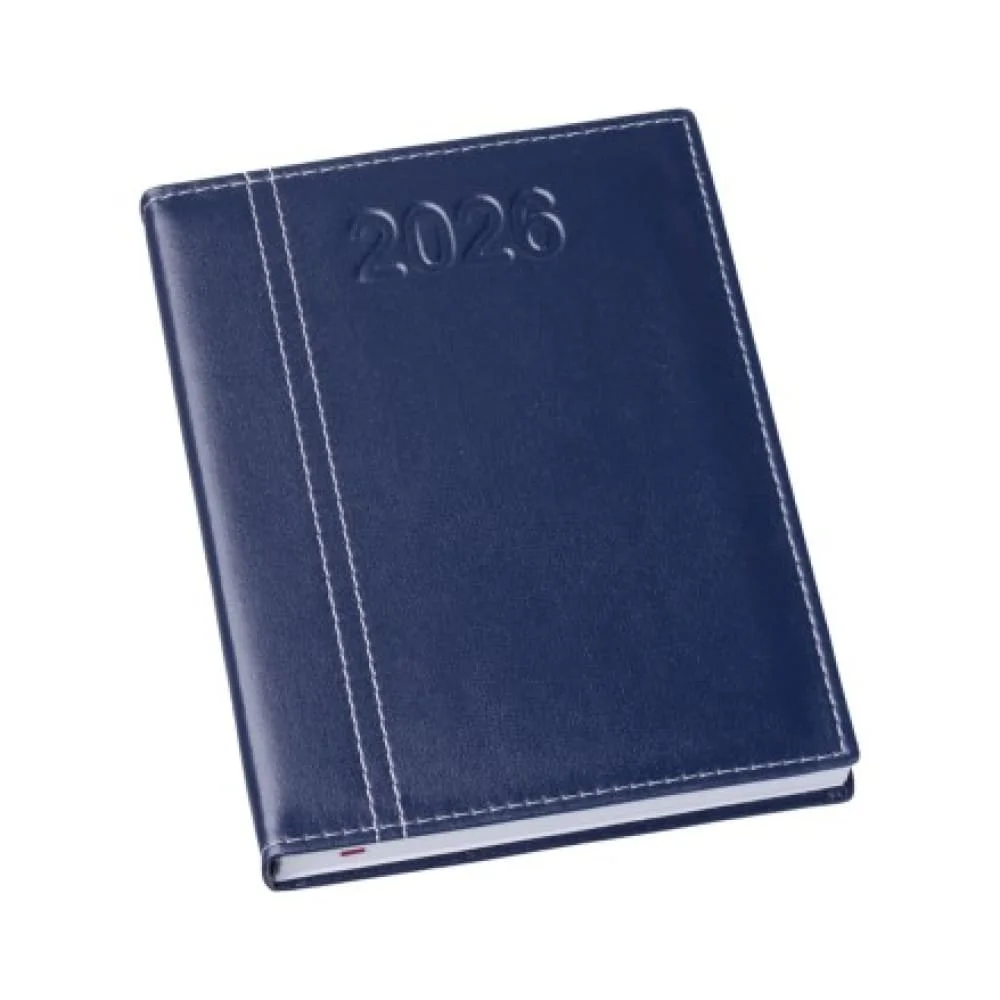 Agenda Diária 2026 Personalizada Lisa