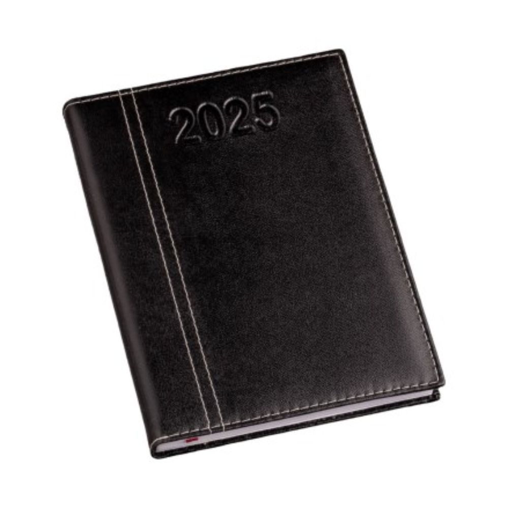 Agenda Diária 2025 Personalizada Lisa