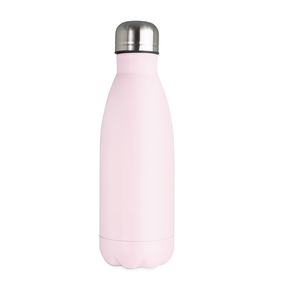 Garrafa 650ml Inox
